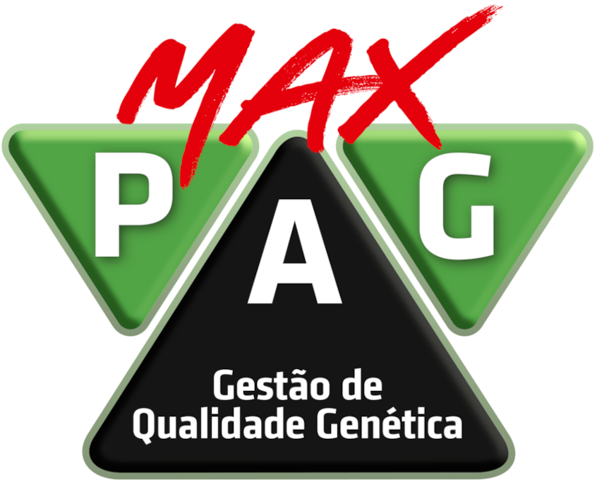 MaxPAG Logo